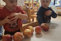 Pod medvedovim dežnikom